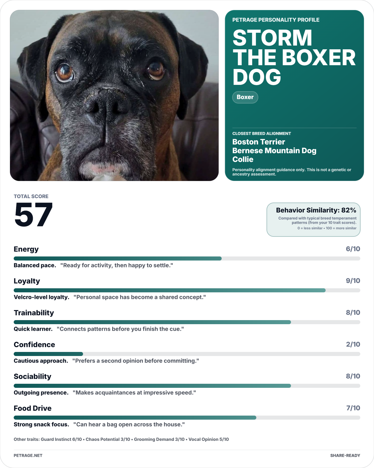 Demo dog personality card preview