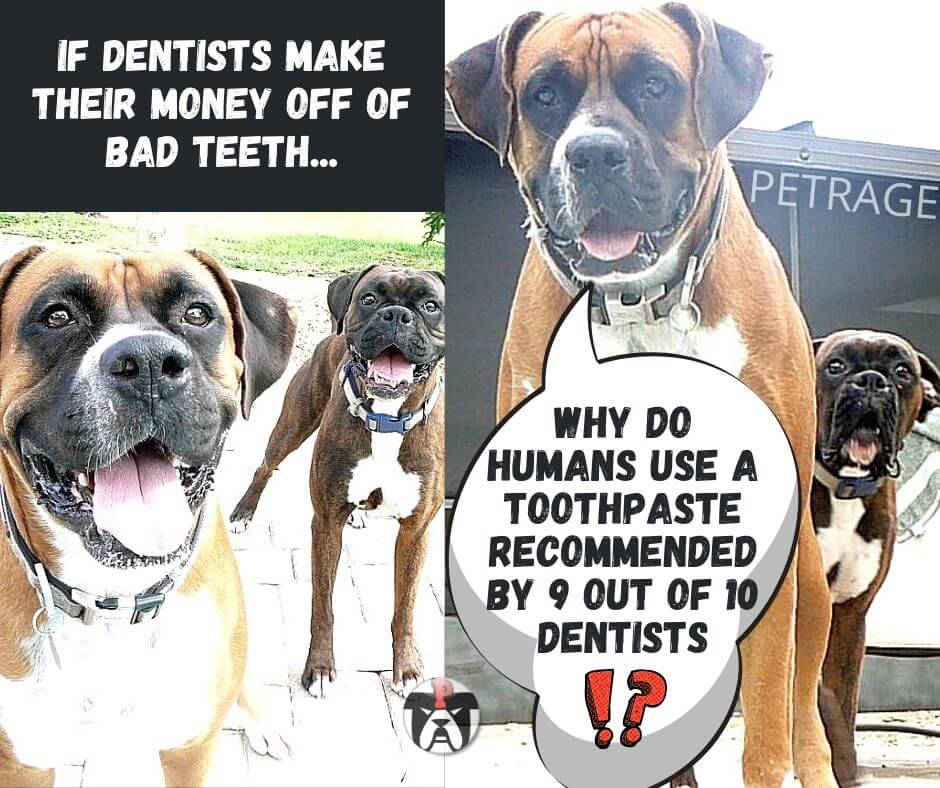 sarcastic boxer dog dentist meme