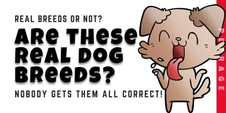 are these real dog breeds quiz petrage 1