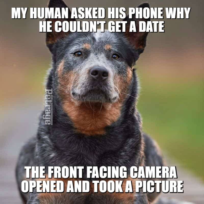 Chinook Cooking Meme PETRAGE