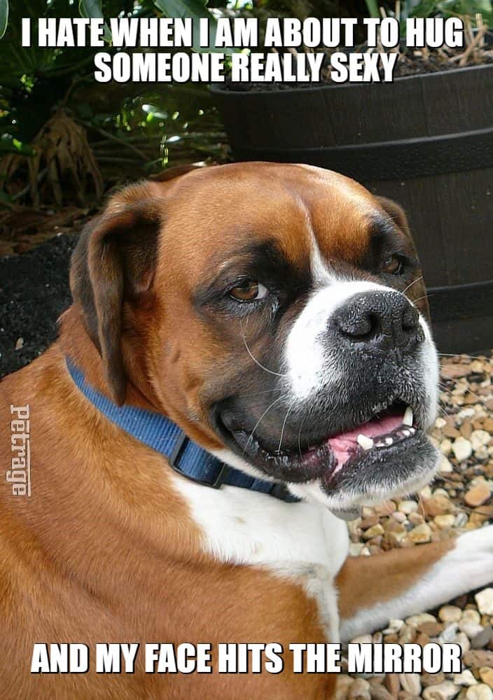 meme sparks meme time pic wm5c5d62bd878aa