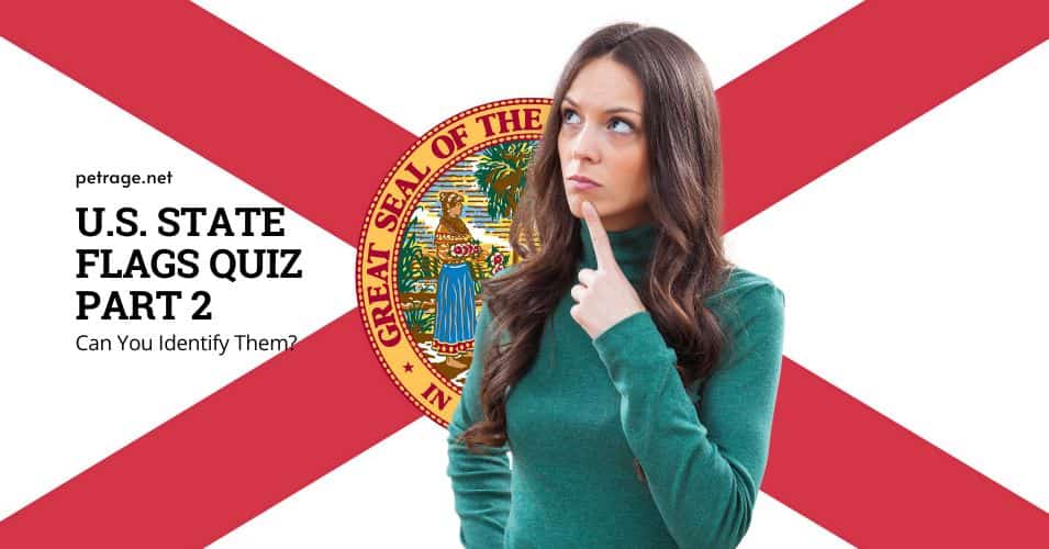us state flags quiz identify the state flags part 2 quiz petrage