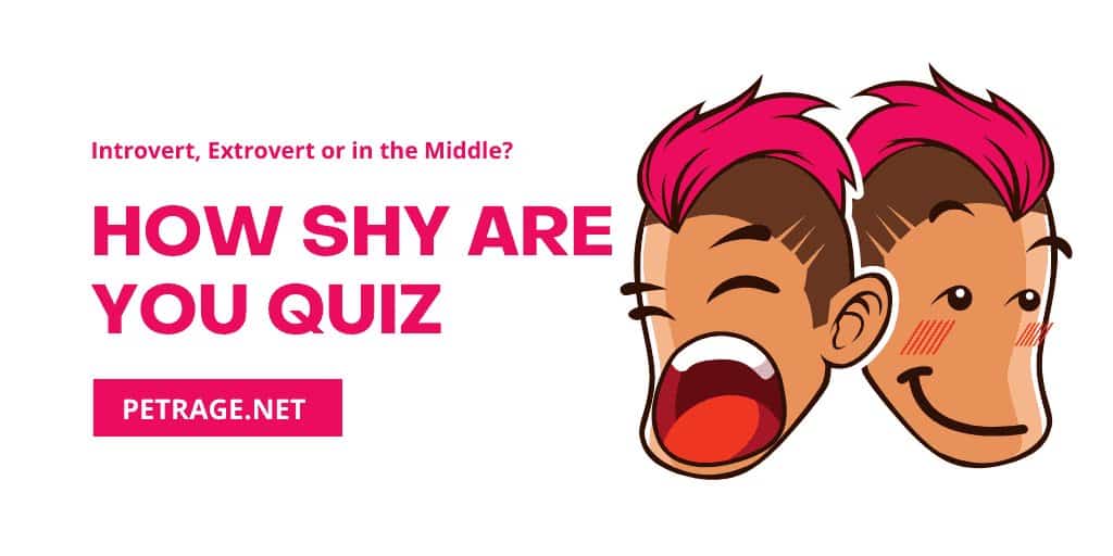 how shy are you quiz petrage