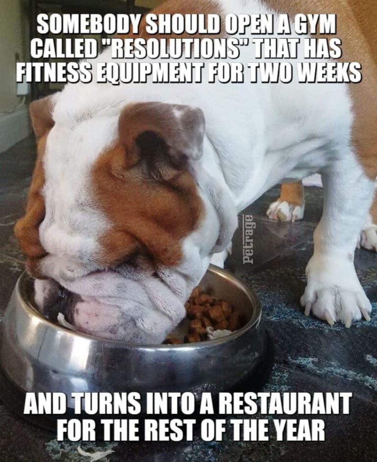 buddy the bulldog gym or restaurant meme petrage