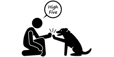 dog breed quick facts graphics petrage 2