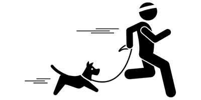 dog breed quick facts graphics petrage 4 1