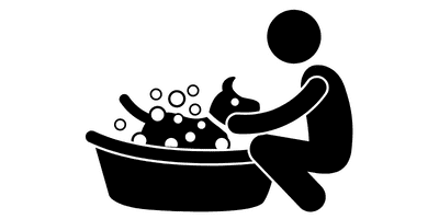 dog breed quick facts graphics petrage 4