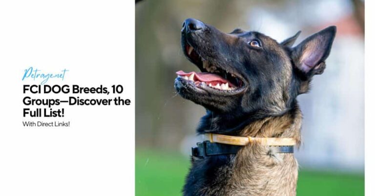 full list of fci dog breeds with direct links petrage
