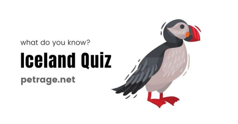 petrage iceland quiz