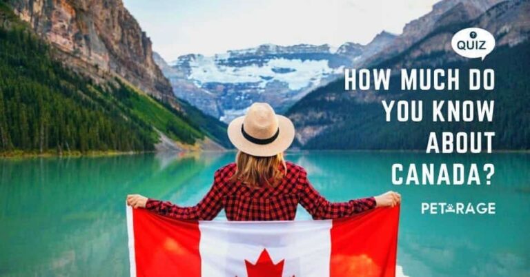 canada quiz how much do you know about canada petrage