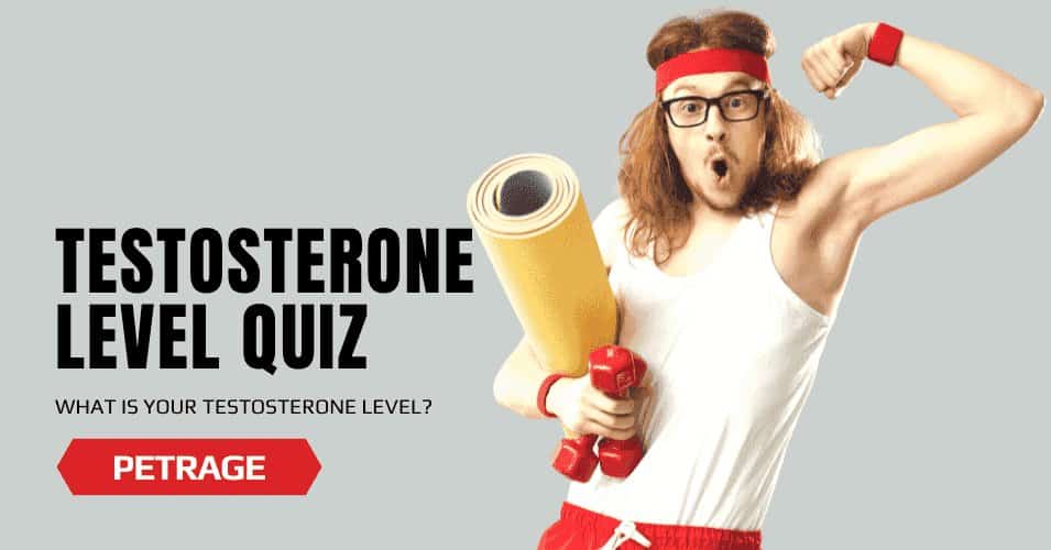 testosterone level quiz funny quiz petrage