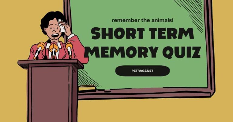 short term memory quiz can you remember the animals petrage