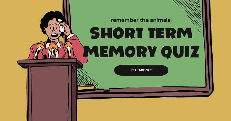 short term memory quiz can you remember the animals petrage