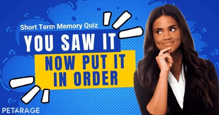short term memory test can you remember what you just saw petrage