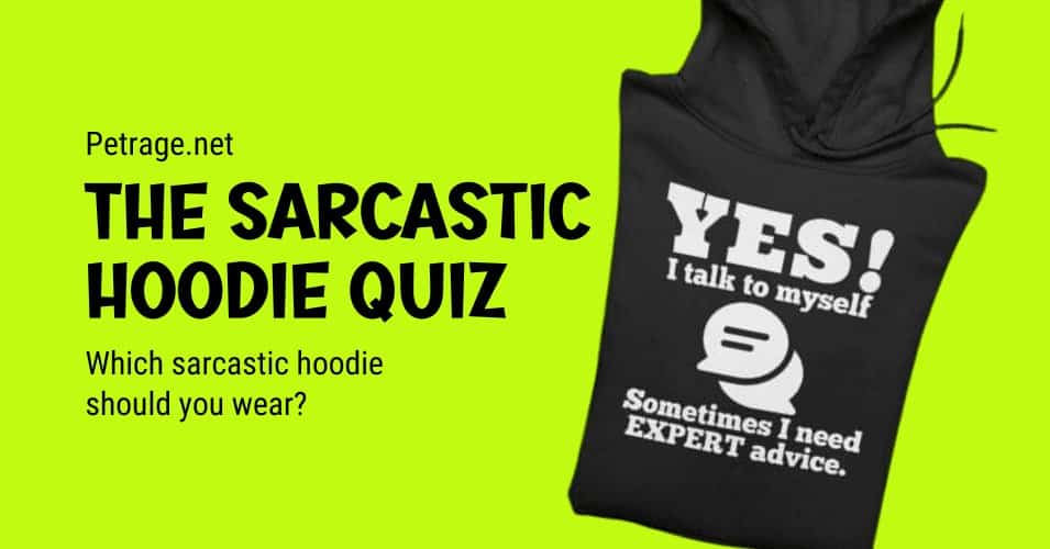 which sarcastic hoodie fits your personality quiz petrage