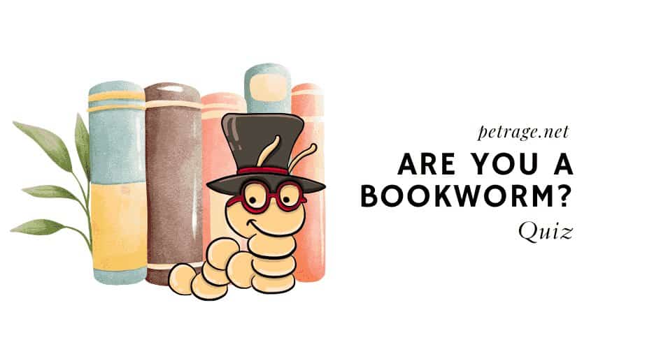 are you a bookworm quiz do you like to read petrage