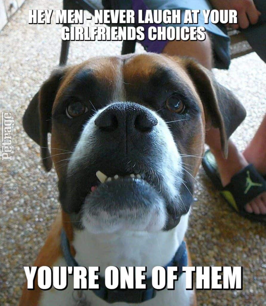 dont laugh at your girlfriends choices meme petrage