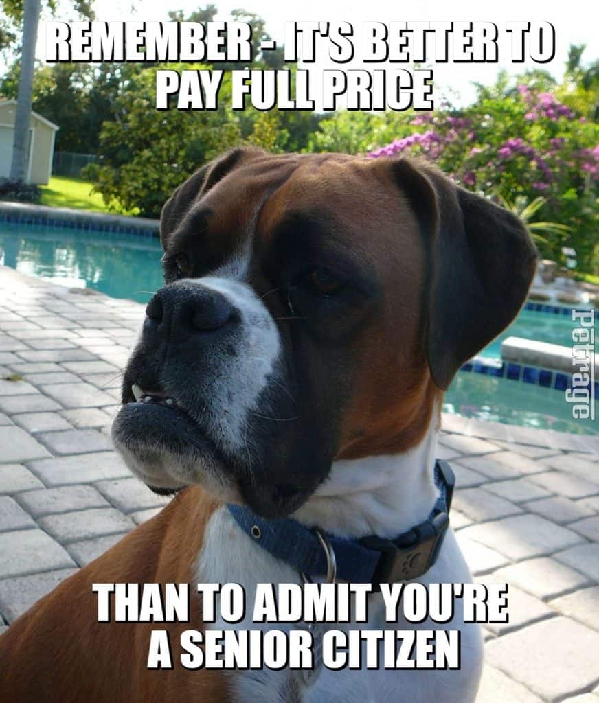full price senior citizen meme by my sarcastic boxer dog petrage