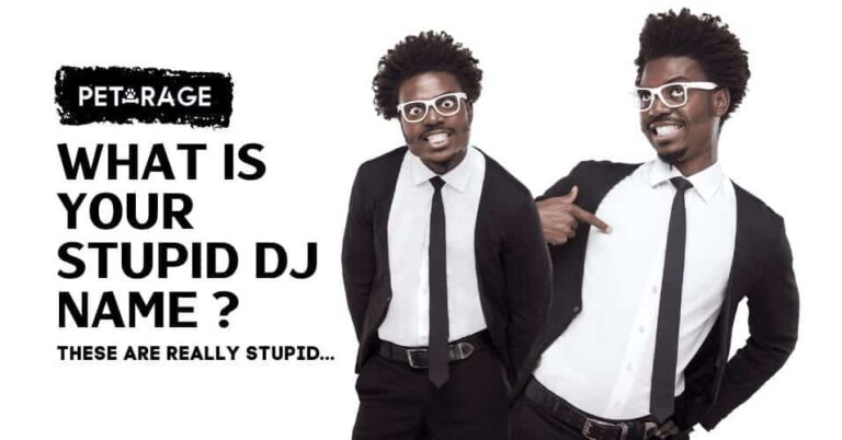 what is your stupid dj name funny quiz petrage