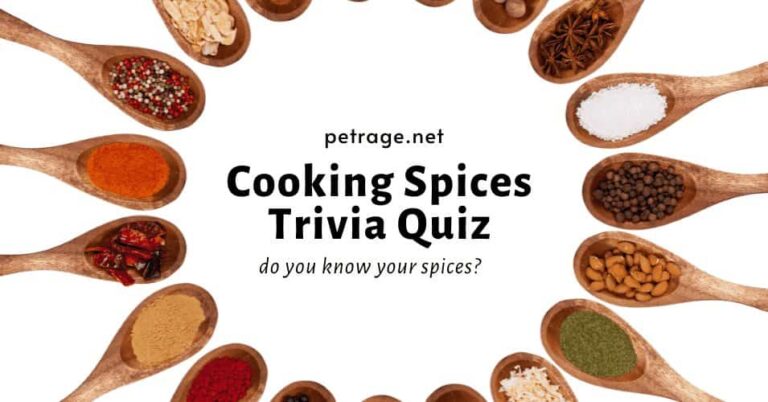 Cooking Spices Trivia Quiz