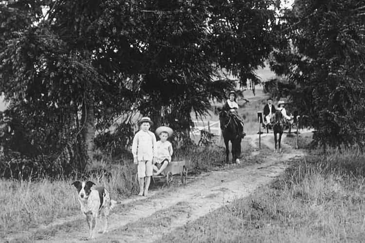 halls heeler 1902