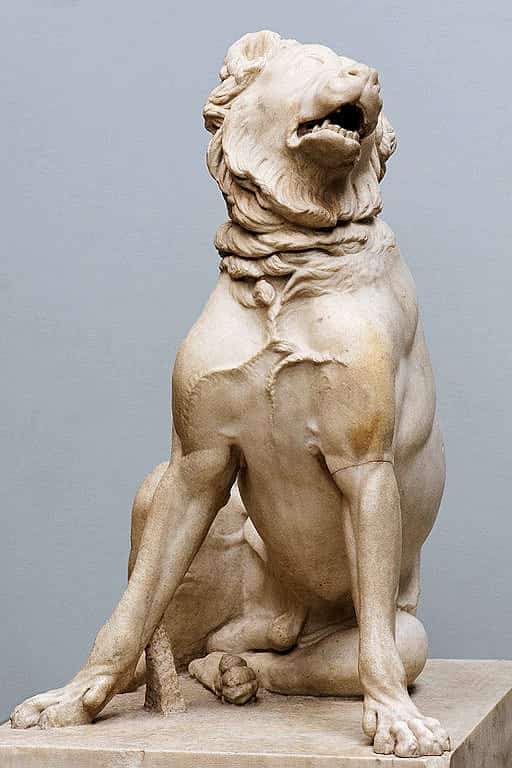 molossus