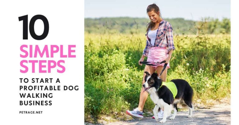 10 steps to a profitable dog walking business petrage