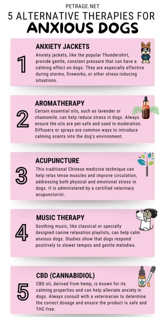 Image showcasing The Most Effective Therapies for Anxious Dogs