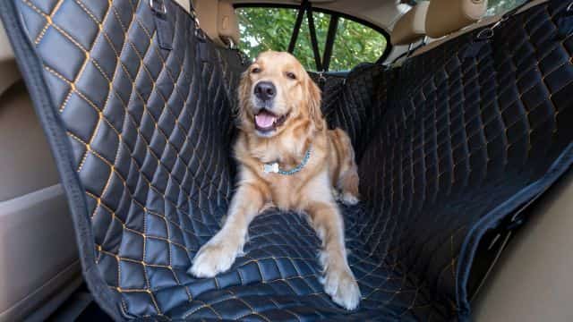clean car seats topper (4)