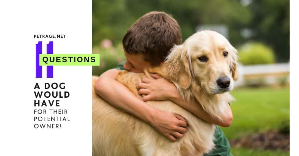 11 questions a dog would ask a potential owner are you ready petrage