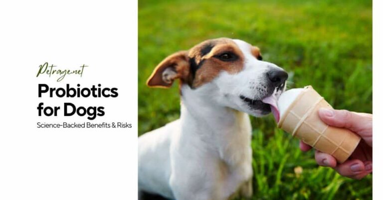 probiotics for dogs science backed benefits & risks petrage