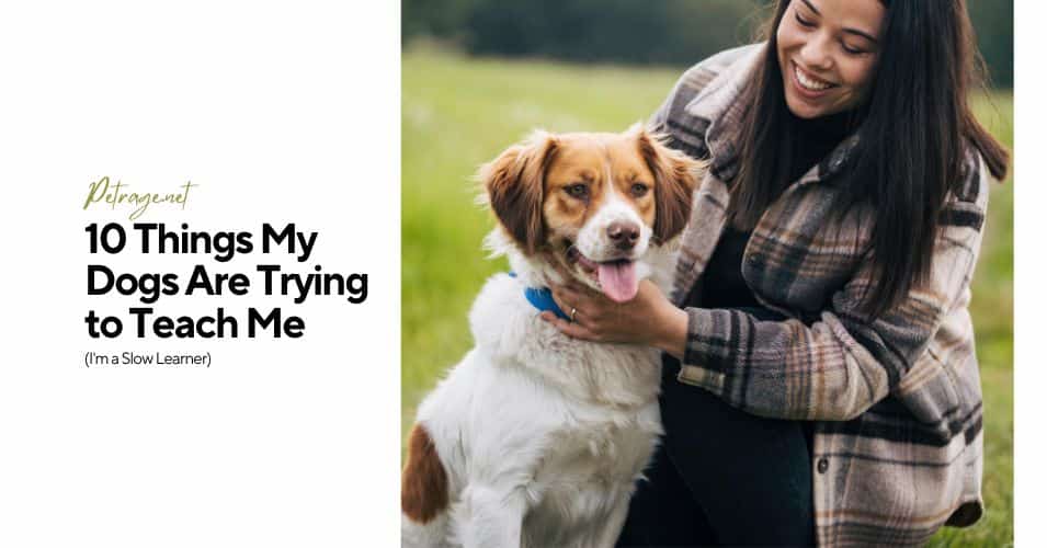 10 things my dogs are trying to teach me but i am a slow learner petrage