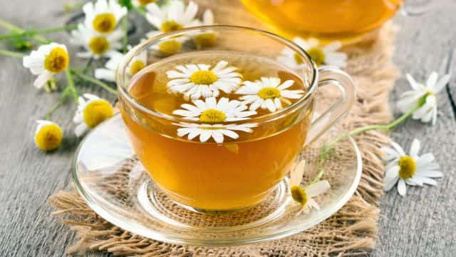 chamomile herbs for dogs