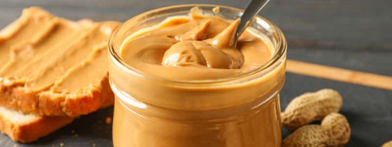 10 best dog treat recipes topper petrage 1