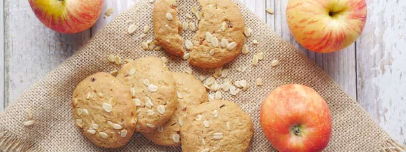 10 best dog treat recipes topper petrage 4