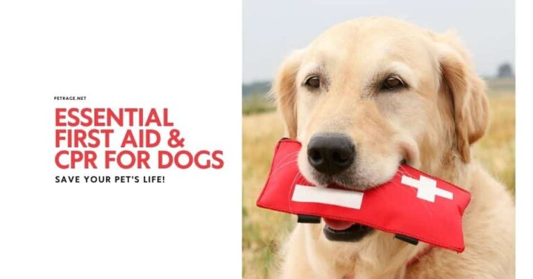 first aid and cpr for dogs a guide for pet owners petrage