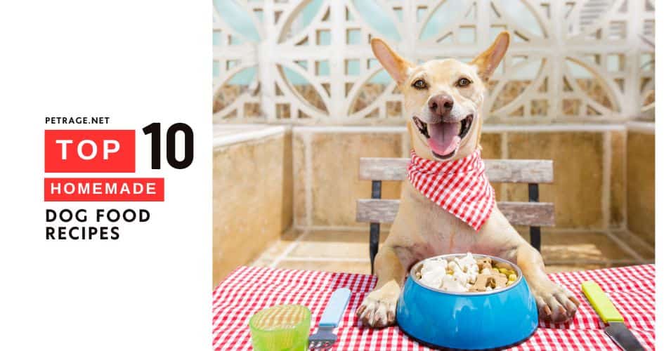 top 10 homemade dog food recipes petrage post