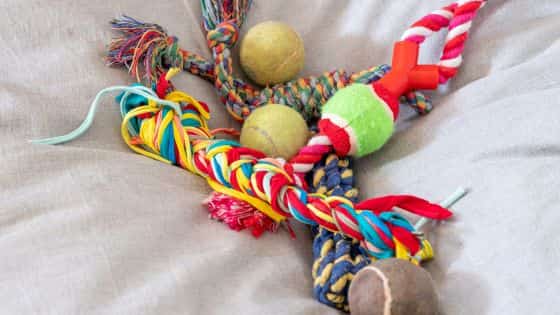 dog toys indoor games topper (3)