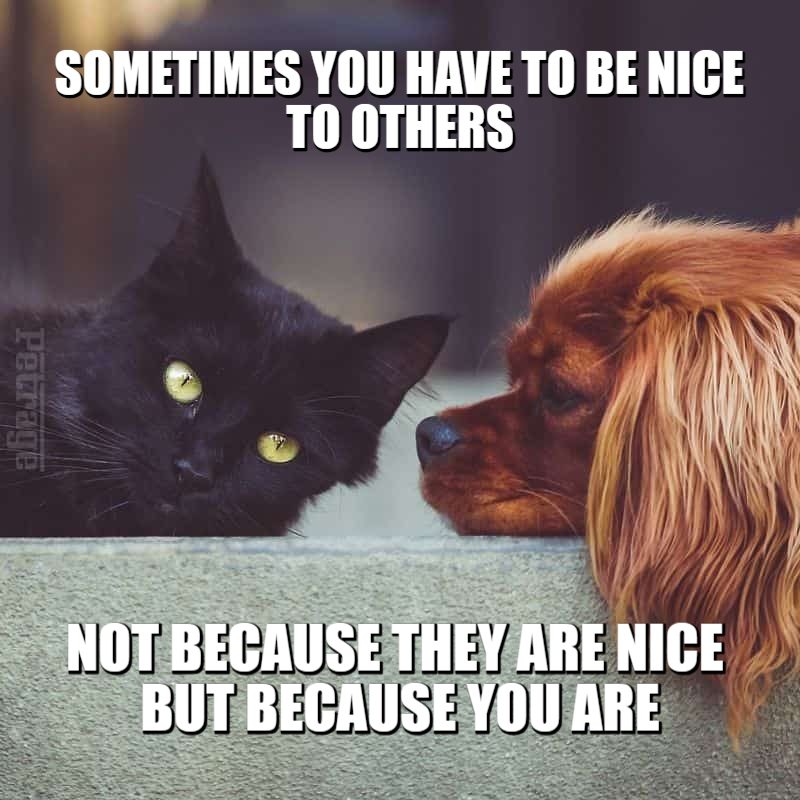 Being Nice Meme