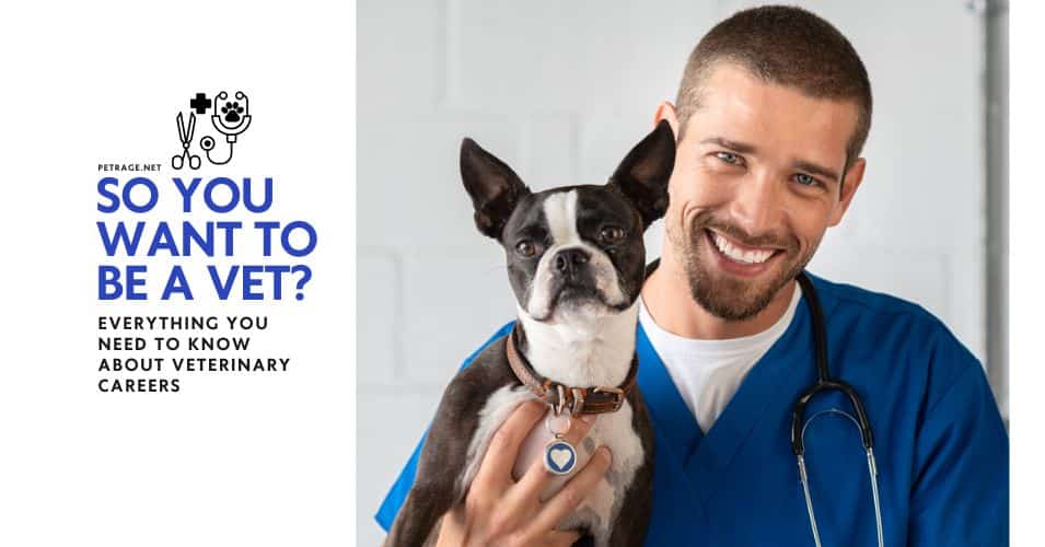 veterinary careers your complete guide to becoming a vet petrage