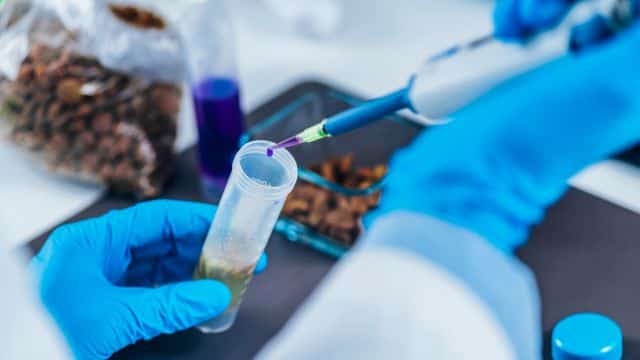 analyzing healthy dog poop what to look for topper petrage (4)