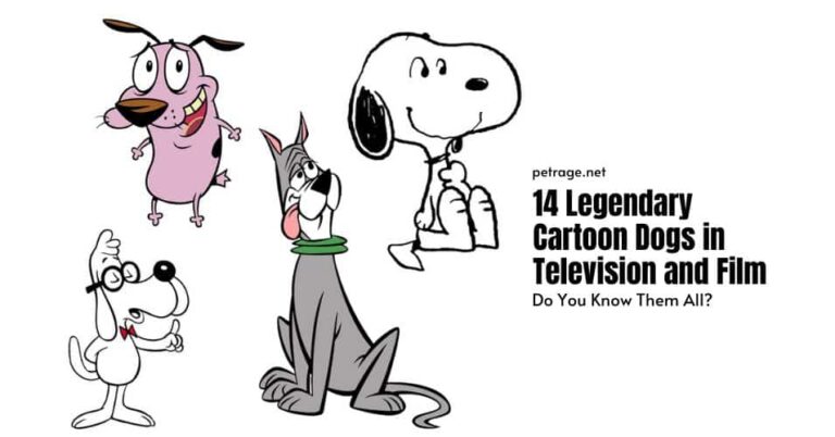 14 legendary cartoon dogs in television and film petrage