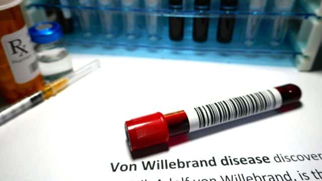 understanding von willebrand disease in dogs topper petrage (1)