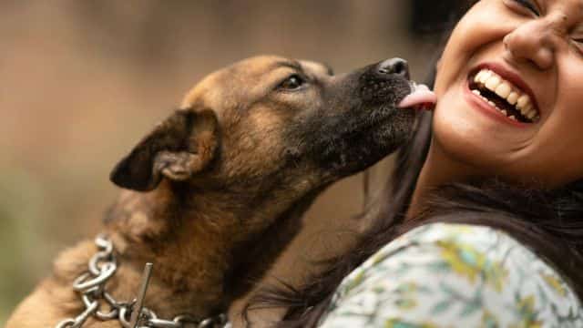 dog mouth vs. human mouth the cleanliness debate topper (4)