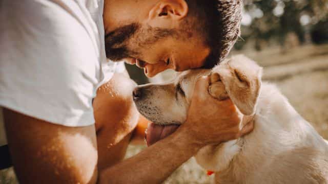 dog seizure types causes and treatments topper petrage (1)