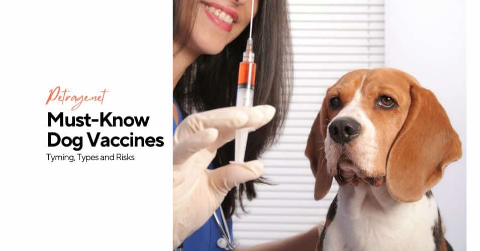 must know dog vaccines types timing & risks petrage