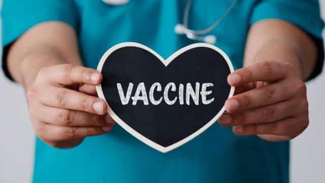 dog vaccine topper types of vaccines in dogs petrage (6)