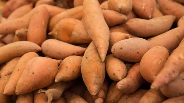 5 most healthy vegetables for dogs topper (3)