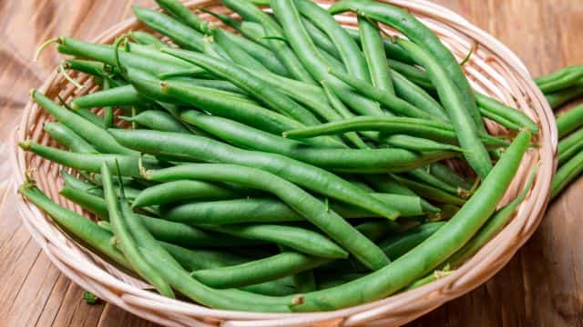 5 most healthy vegetables for dogs topper (4)