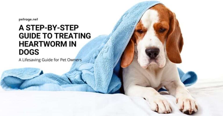 a step by step guide to treating heartworm in dogs petrage